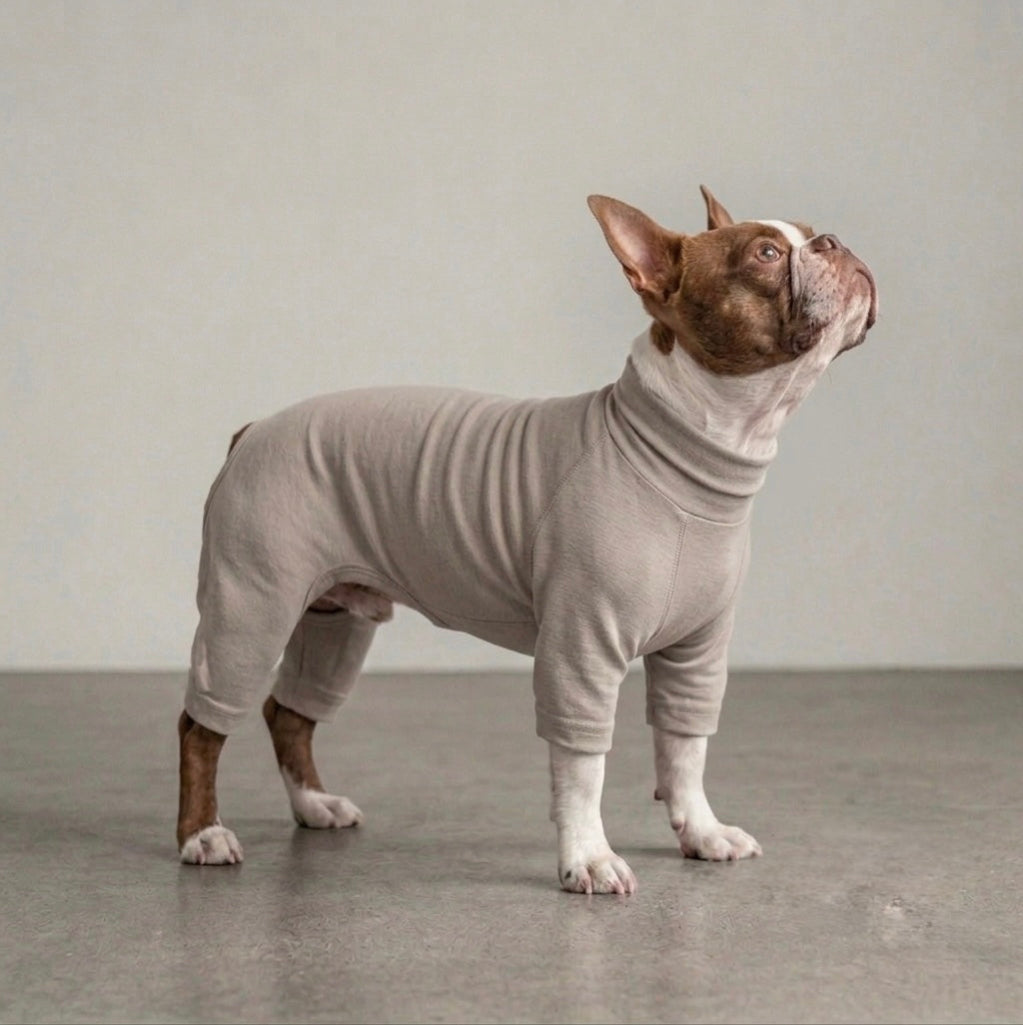 8&Co. PREMIUM DOG WEAR 胸厚・アスリート体型用 着用イメージ