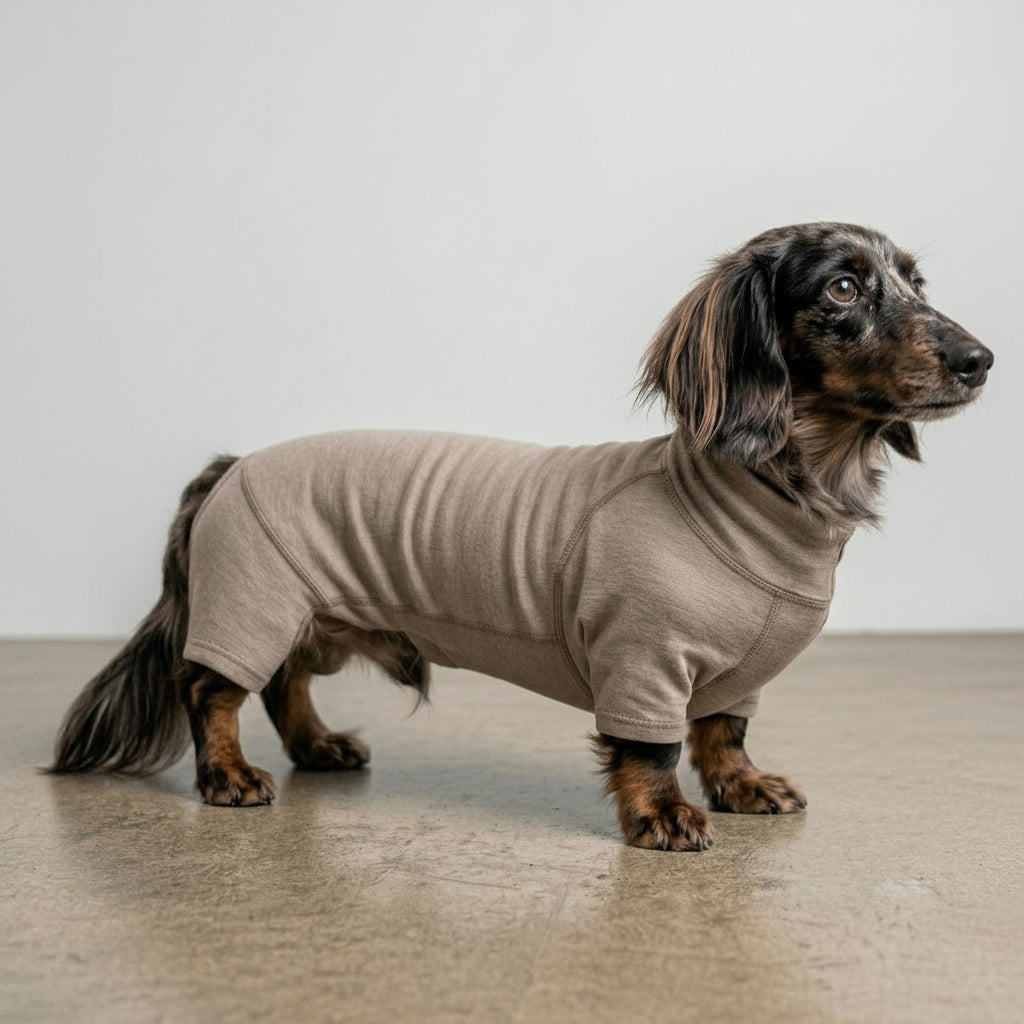 8&Co. PREMIUM DOG WEAR 胴長・短足体型用 着用イメージ