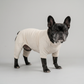 PREMIUM DOG WEAR （ガッチリ体型 / フレブル）