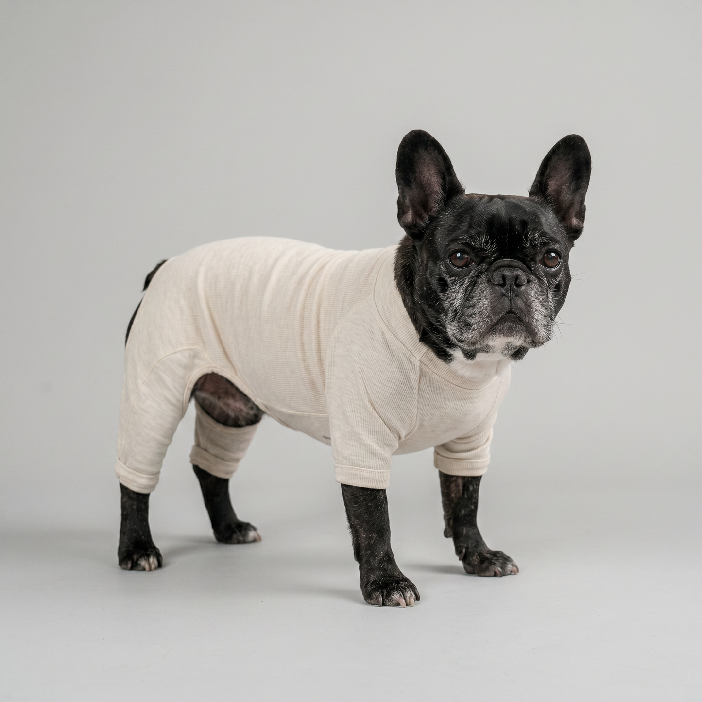 PREMIUM DOG WEAR （ガッチリ体型 / フレブル）