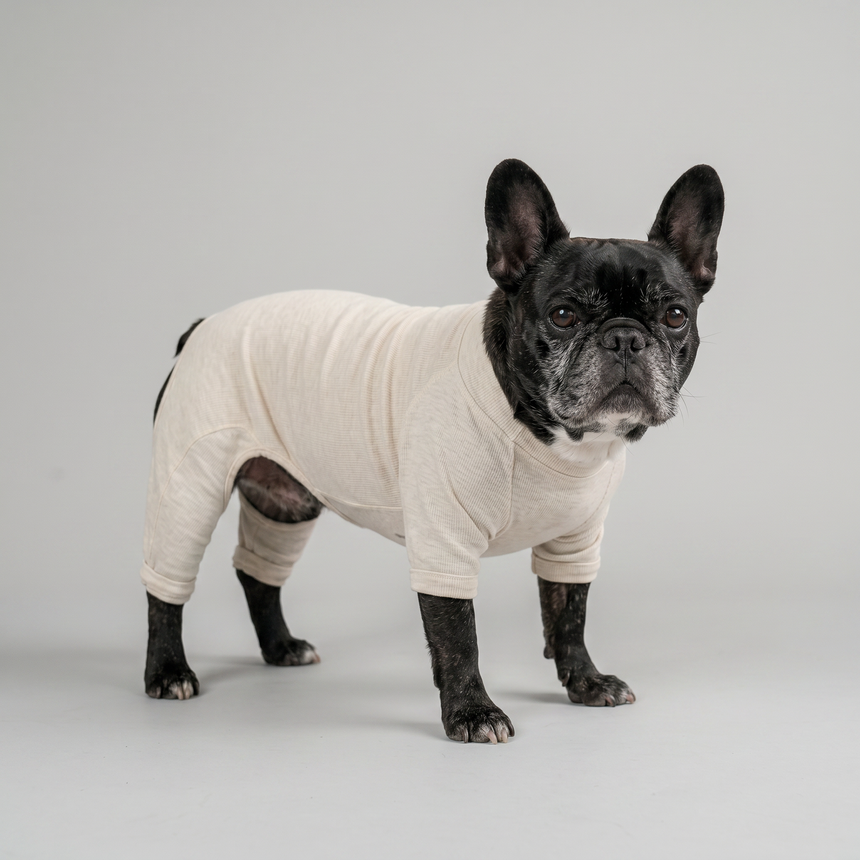 PREMIUM DOG WEAR （ガッチリ体型 / フレブル）