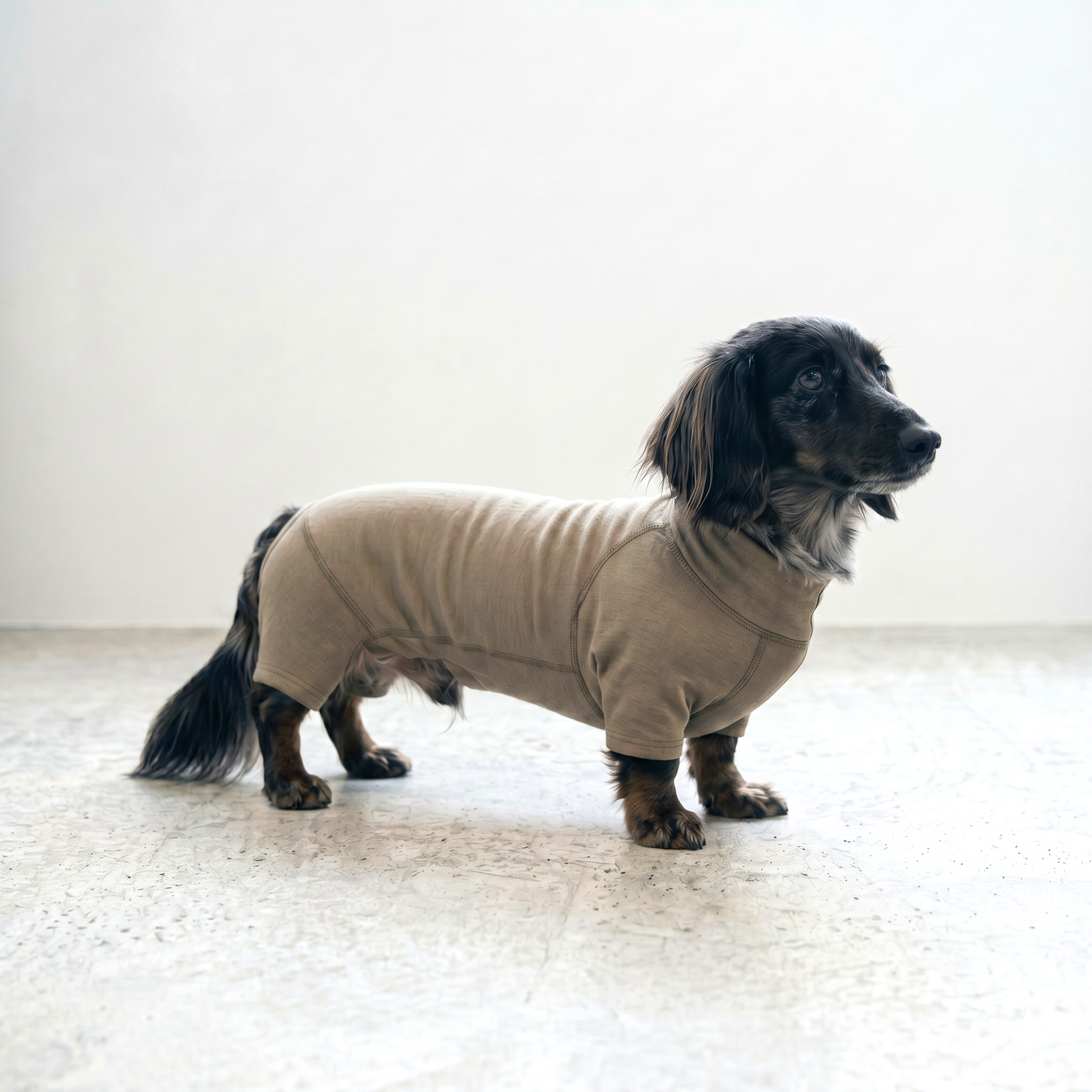 PREMIUM DOG WEAR （胴長・短足体型）